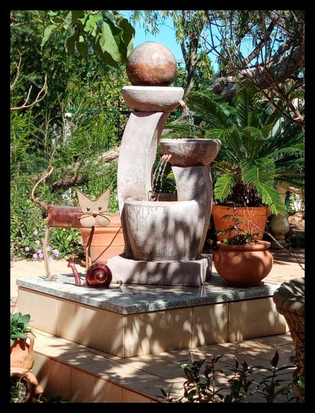 Obi & Water 14 Mar 21(1).jpg