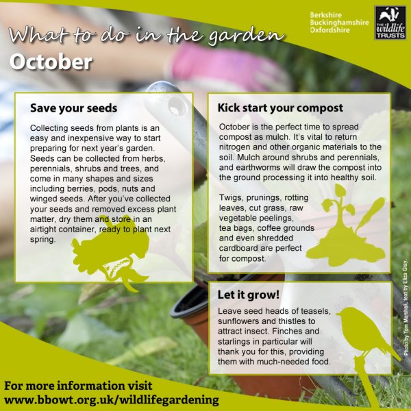 october_gardening_tip_2016.jpg