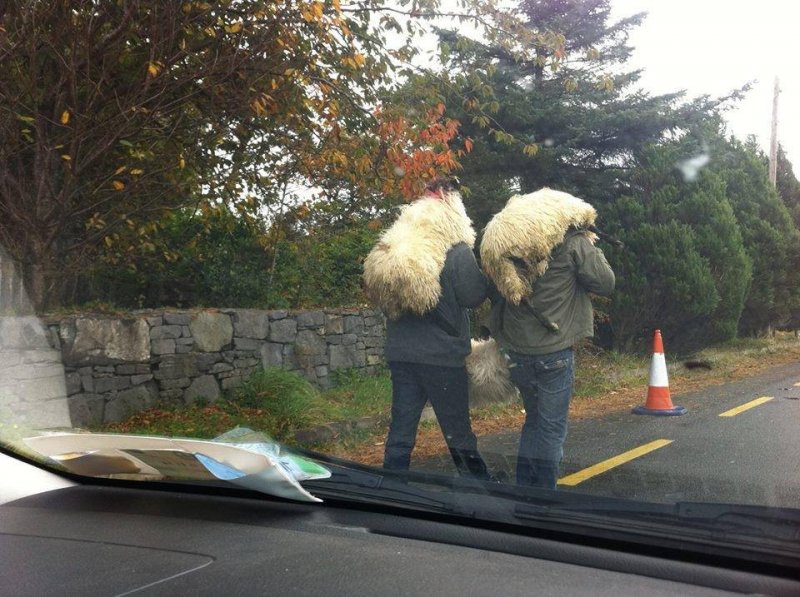 only in Iireland 11.jpg