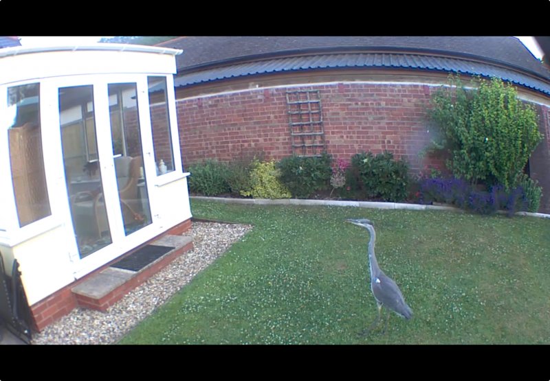 Open Conservato_2025-06-22T05_55_26.jpeg