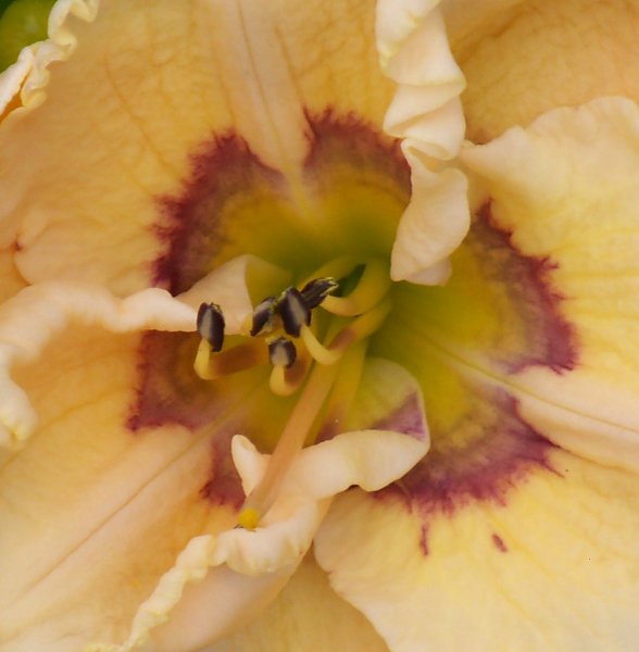 Optical Art x Reflections In Time.JPG