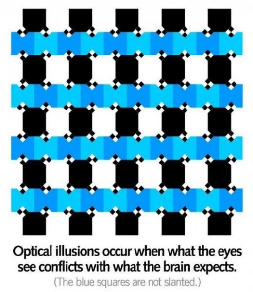 optical.jpg
