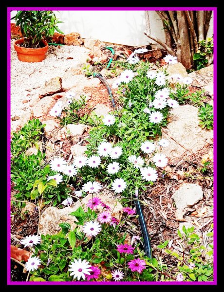 Osteos 26 Mar 21(1).jpg