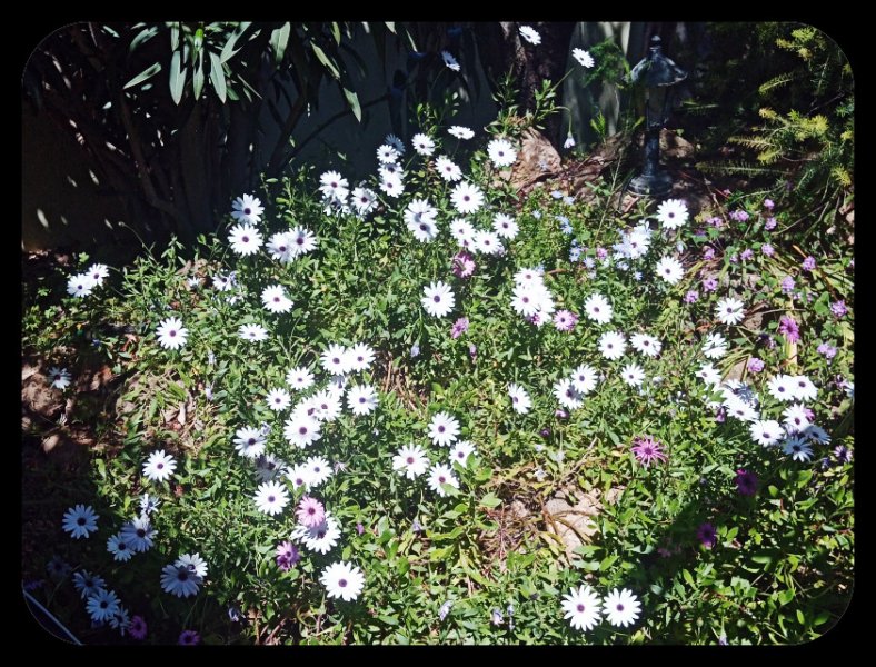 Osteos1 15 Apr 22.jpg