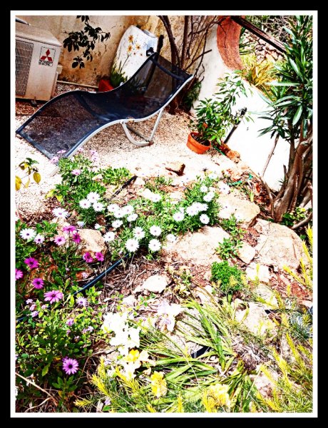 Osteos2 27 Mar21.jpg