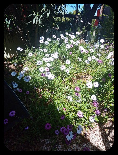 Osteos3 15 Apr 22(1)(1).jpg