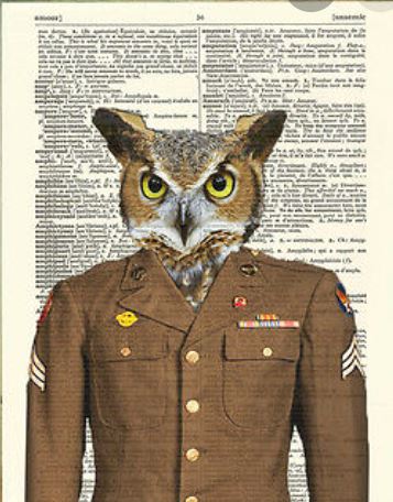 Owl.JPG