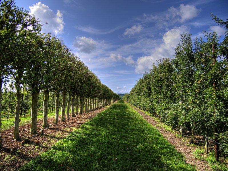 P1000036_iPhone RAW.jpg