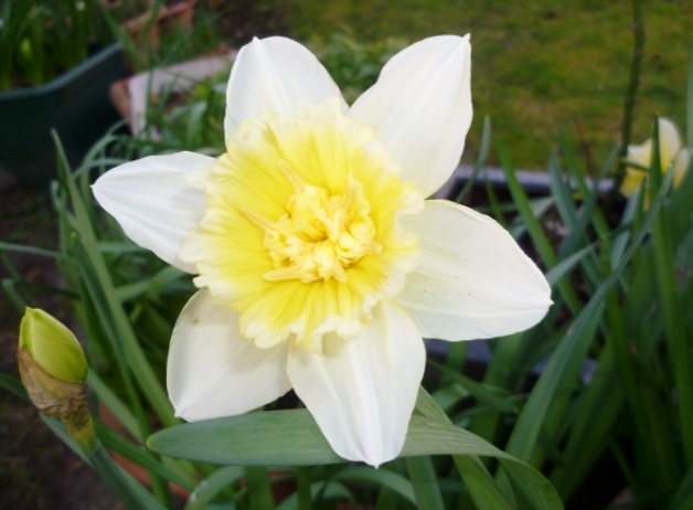 P1000877 (640x480) (628x462).jpg