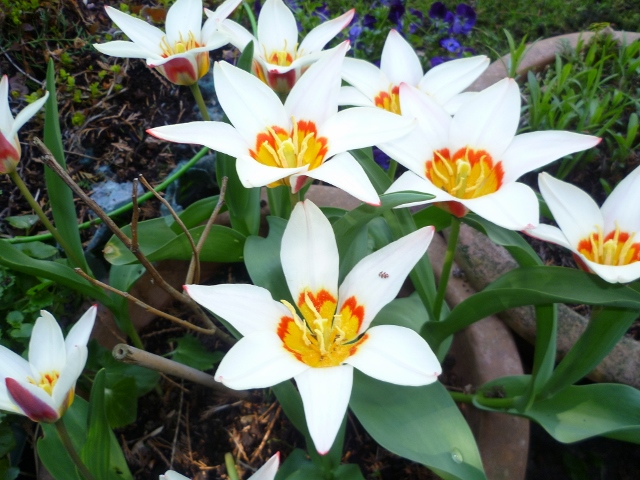 P1000931 (640x480).jpg