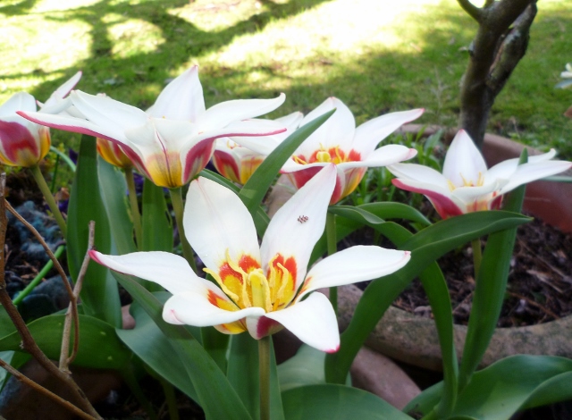 P1000932 (640x470).jpg