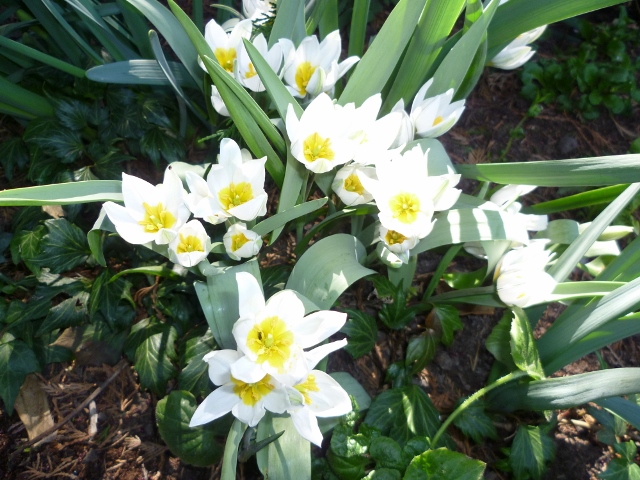 P1000935 (640x480).jpg