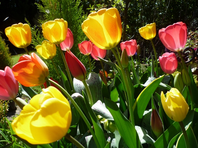 P1010052 (640x480).jpg