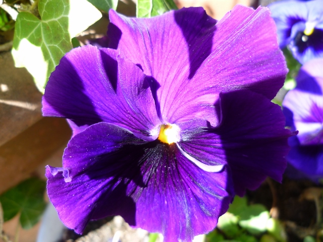 P1010054 (640x480).jpg