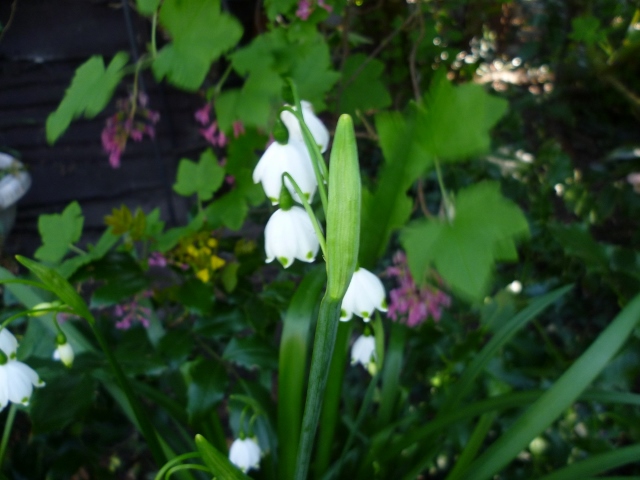 P1010065 (640x480).jpg