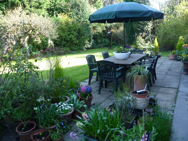 P1010075 (640x480).jpg