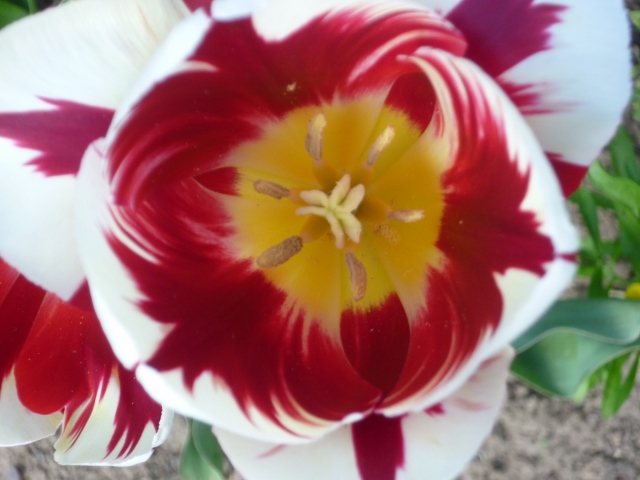 P1010153 (640x480).jpg