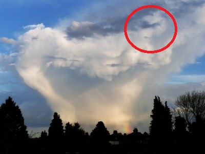 P1010162 (2) - Copy.JPG