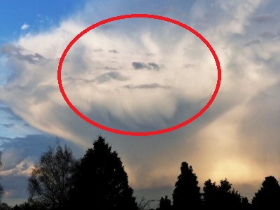 P1010166 (2) - Copy.JPG