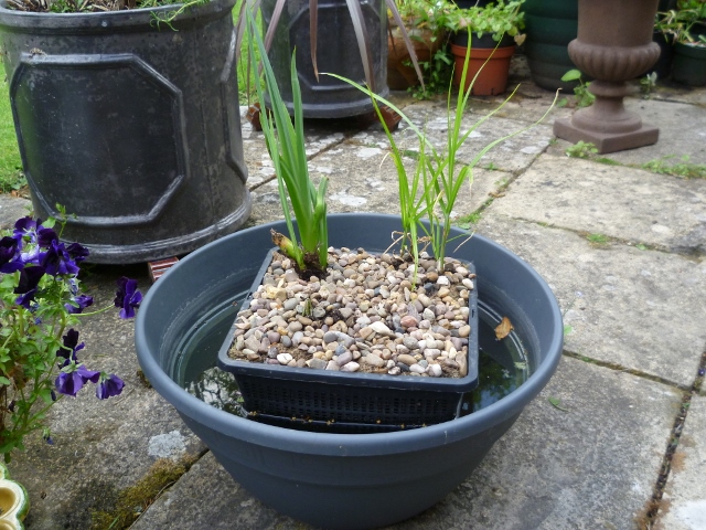 P1010197 (640x480).jpg