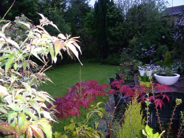 P1010273 (640x480).jpg