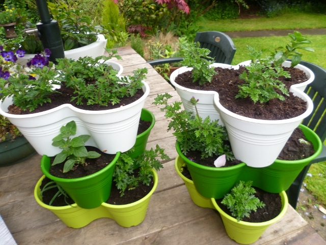 P1010289 (640x480).jpg