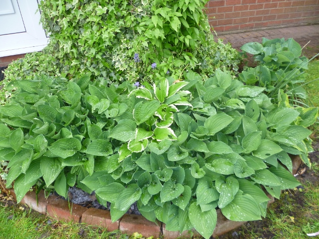 P1010290 (640x480).jpg