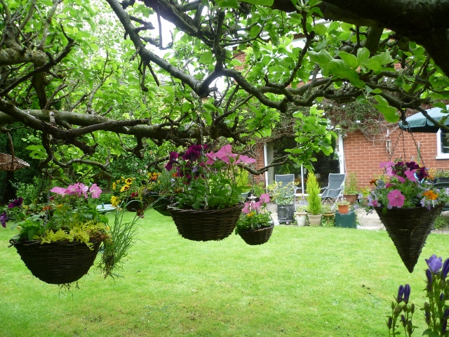 P1010331 (640x480).jpg