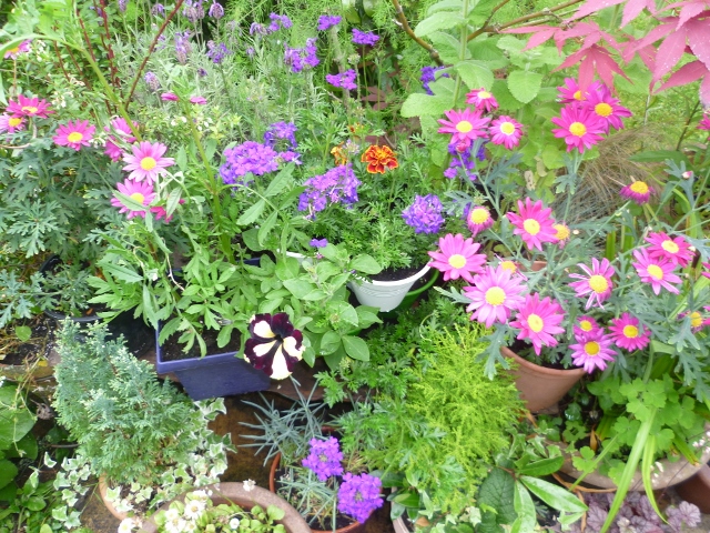 P1010398 (640x480).jpg