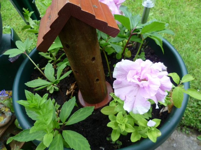 P1010403 (640x480).jpg