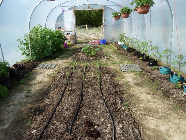 P1010856 (640x480).jpg