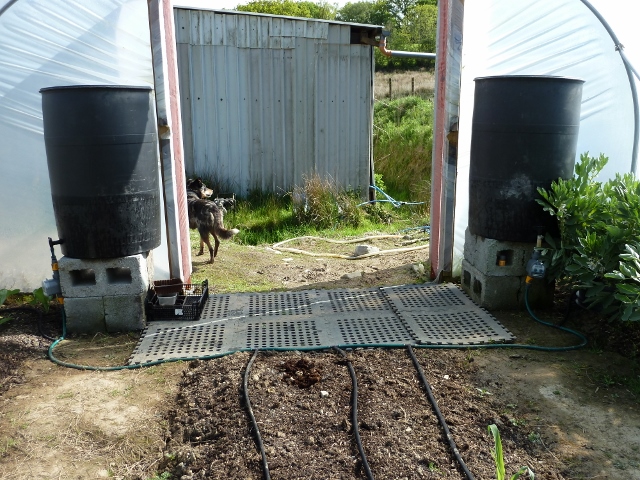 P1010857 (640x480).jpg