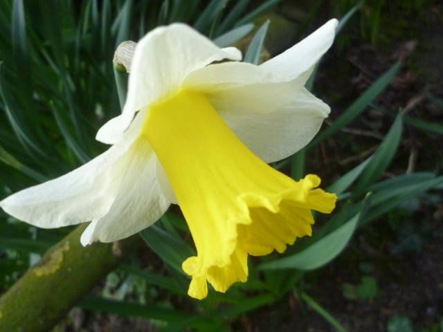 P1020441 (640x480).jpg