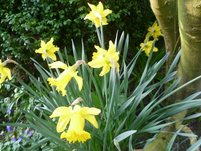 P1020442 (640x480).jpg