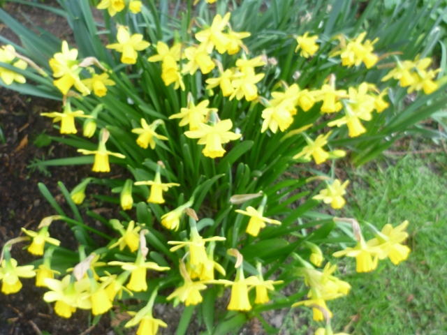 P1020443 (640x480).jpg