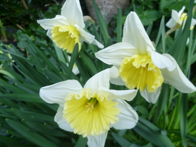 P1020450 (640x480).jpg