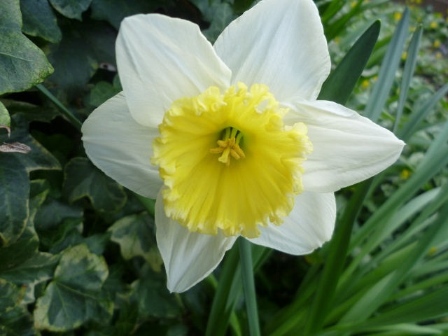 P1020455 (640x480).jpg