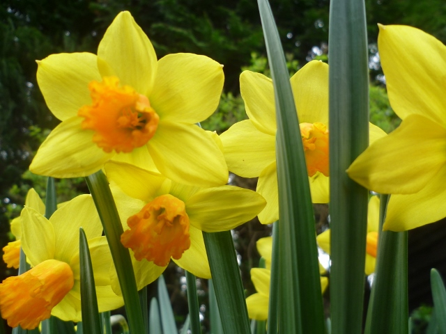 P1020543 (640x480).jpg