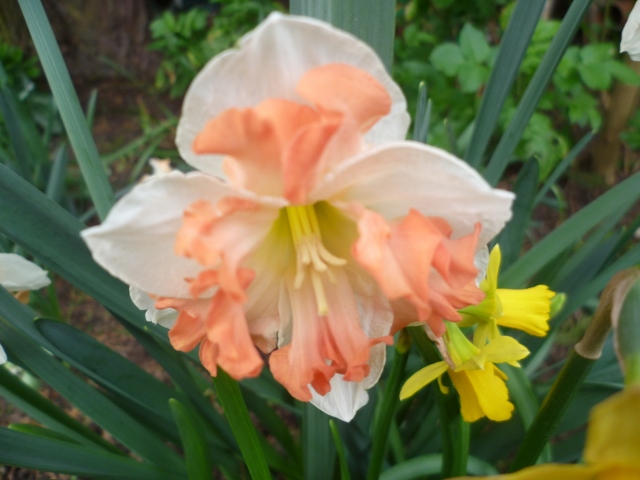 P1020544 (640x480).jpg