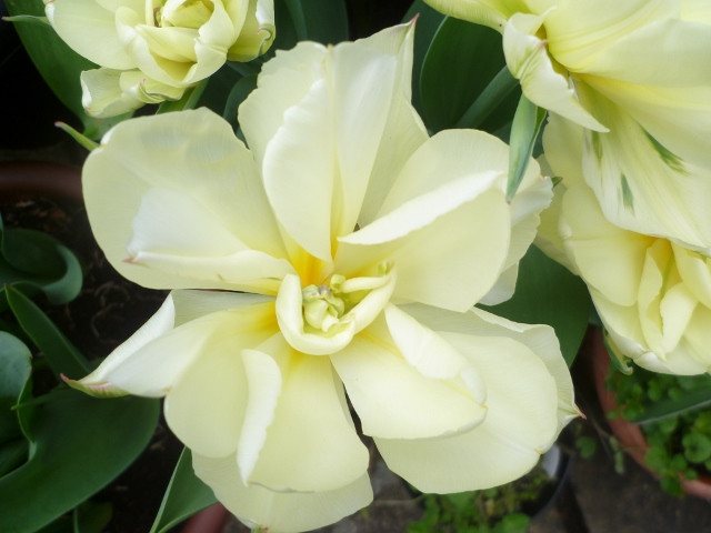 P1020603 (640x480).jpg