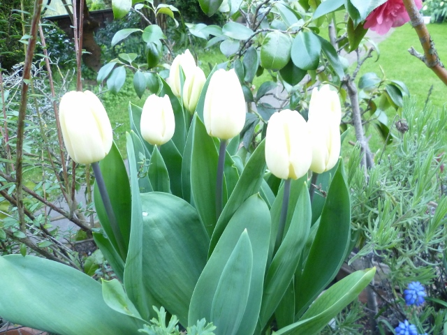 P1020607 (640x480).jpg