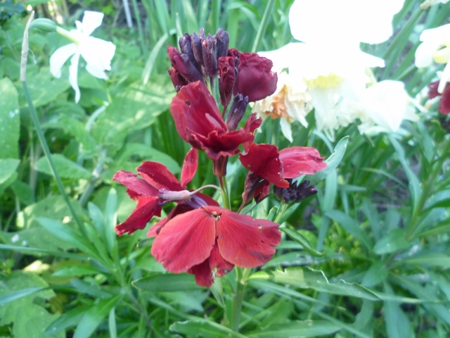 P1020612 (640x480).jpg