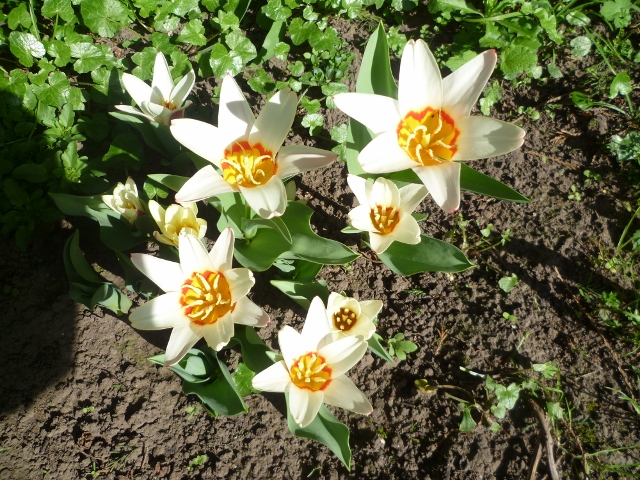 P1020616 (640x480).jpg