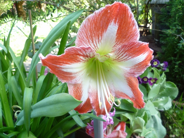 P1020620 (640x480).jpg