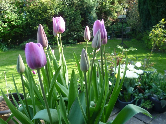 P1020622 (640x480).jpg