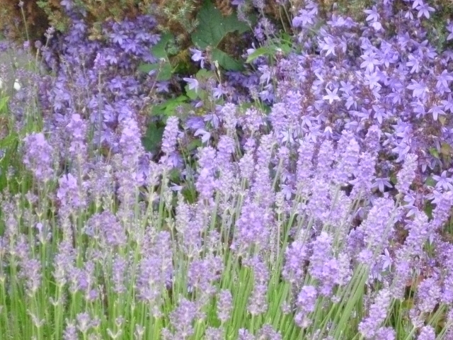 P1030165 (640x480).jpg