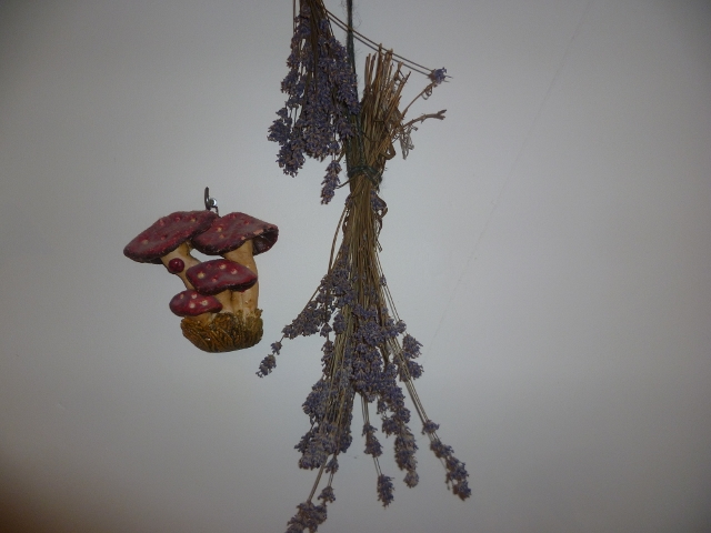 P1030234 (640x480).jpg