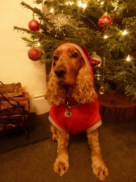 P1030281 (2) (480x640).jpg