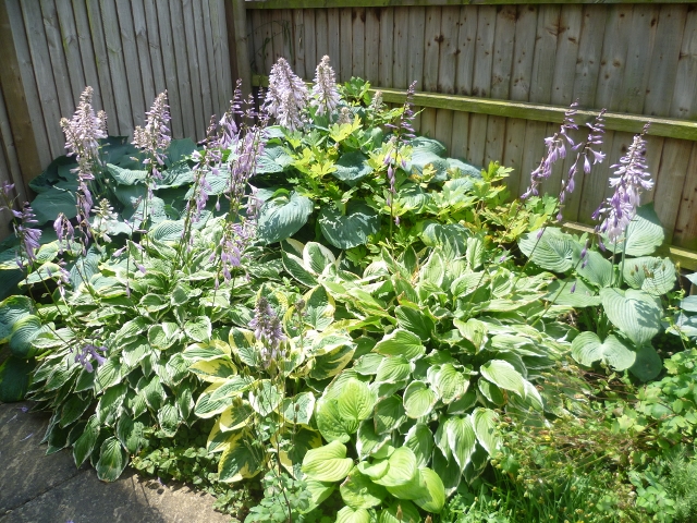 P1030320 (640x480).jpg