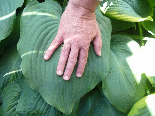 P1030322 (640x480).jpg